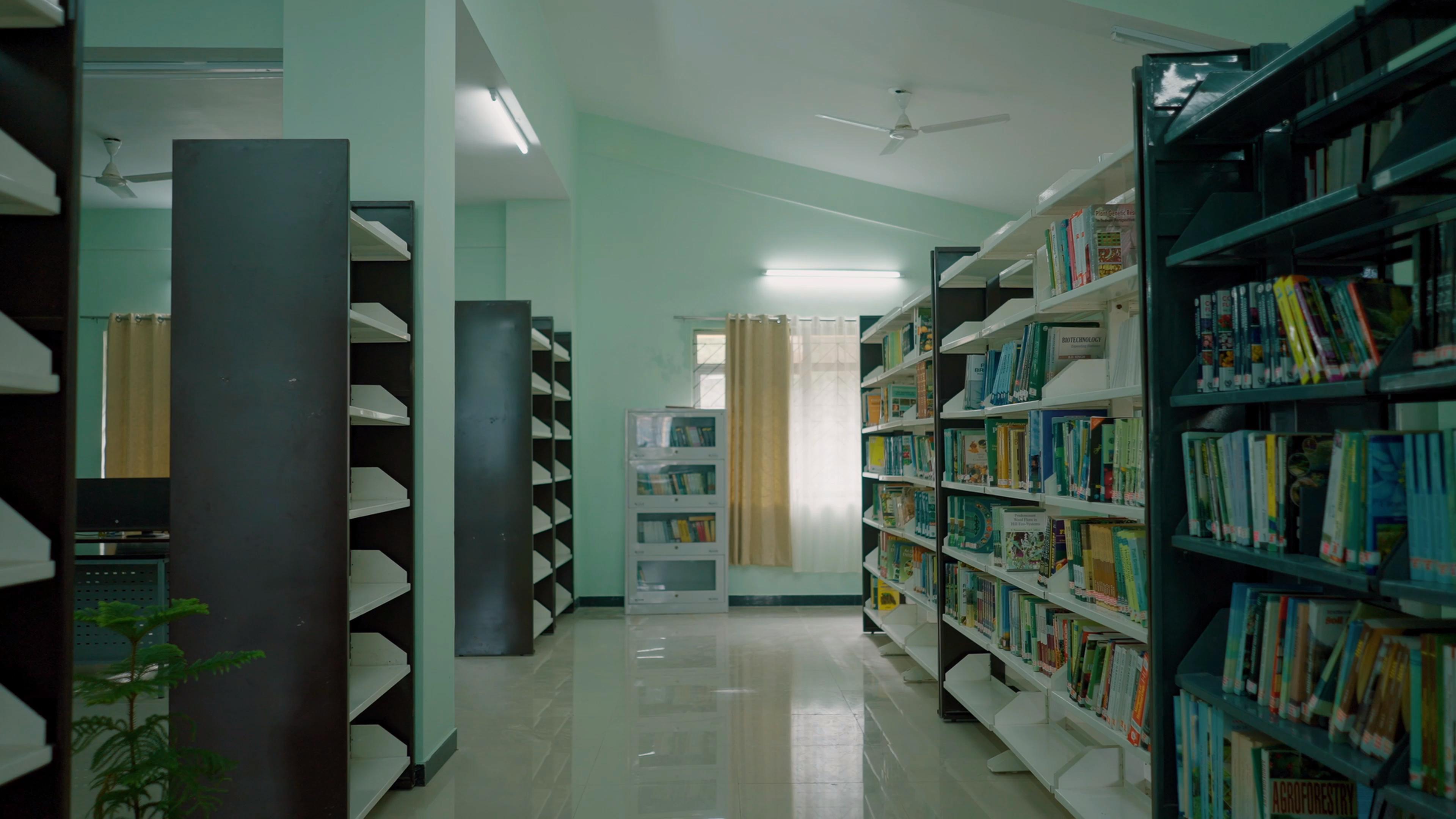 Library gallery photo